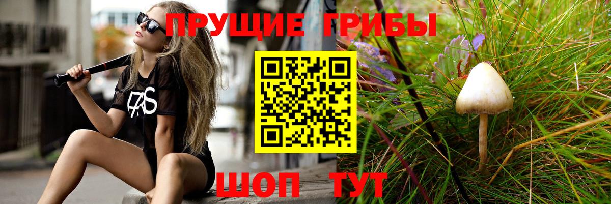 как найти закладки  Вход с VPN  Белебей  Псилоцибиновые грибы GOLDEN TEACHER 